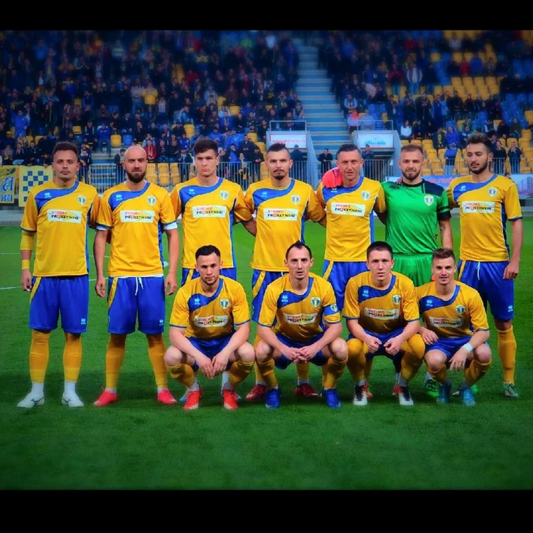 Lupii galbeni, varianta 2017