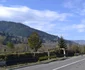 Pentru defrişările şi jaful din pădurile de pe Valea Muntelui nu există vinovaţi FOTO Mircea Merticariu
