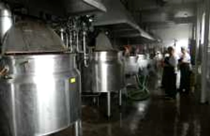 Producţia a fost oprită la fabrica de magiun din cauza lipsei gazelor