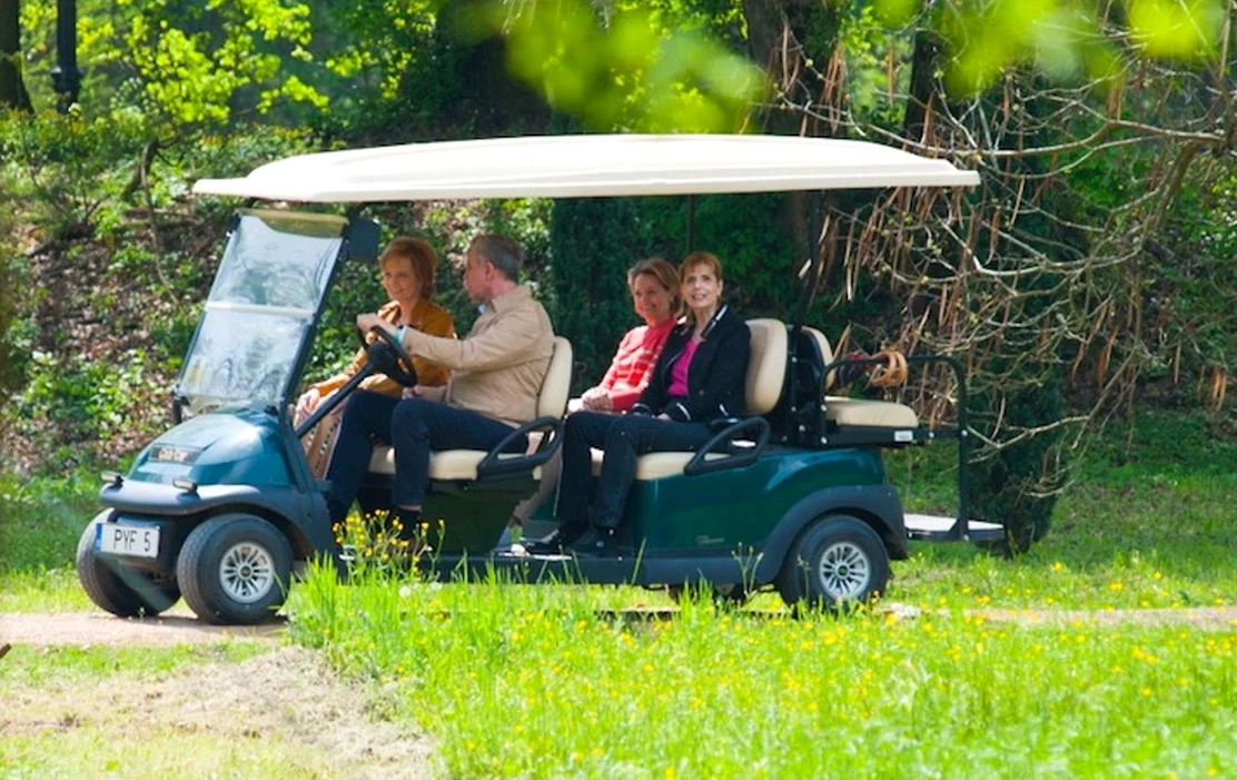Săvârșin jpeg