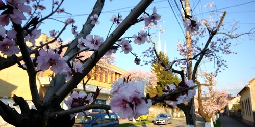 strada revolutiei hunedoara foto daniel guta adevarul