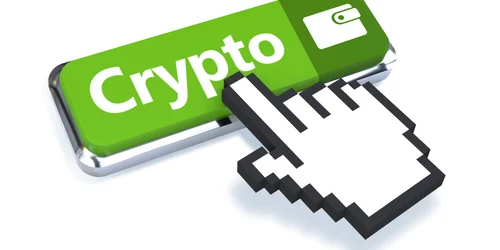 crypto wallet button green wo1 (1) jpg