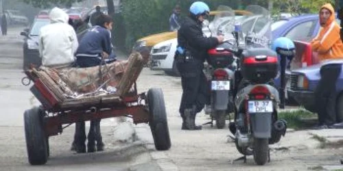 Suspecţii au fugit cu calul