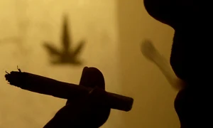 CLIIMA20091120 0012 1 jpeg