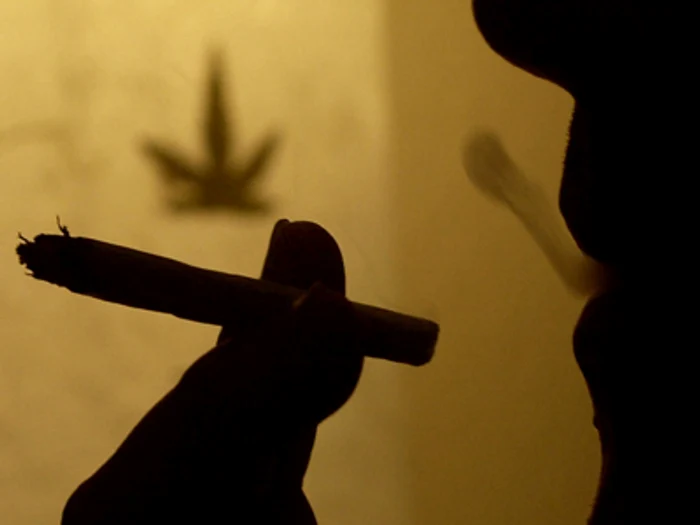 Magazinele care vând substanţe de acest fel s-au înmulţit în ultima vreme