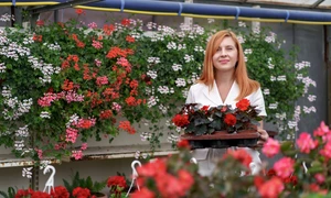 smiling happy florist her nursery standing holding potted red geraniums her hands as she tends garden plants greenhouse jpg