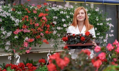 smiling happy florist her nursery standing holding potted red geraniums her hands as she tends garden plants greenhouse jpg