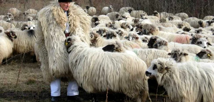 Ştefan Gros munceşte ca în anii tinereţii.