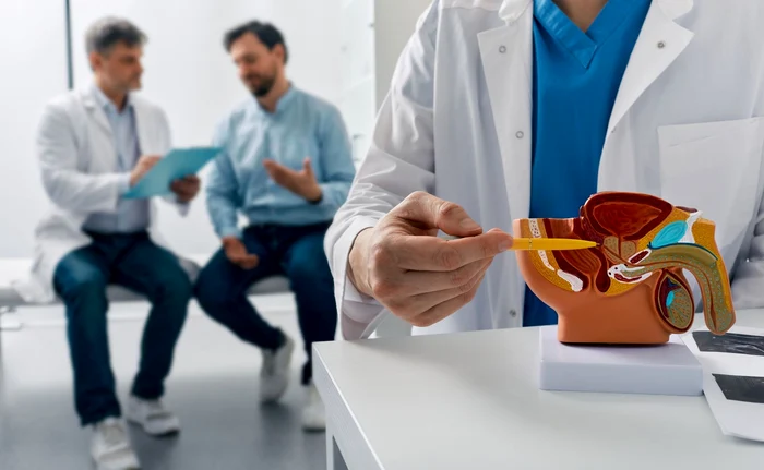 prostata shutterstock 2296658117 jpg