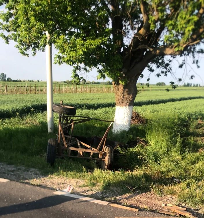Cele două persoane se aflau într-o căruţă FOTO: martor