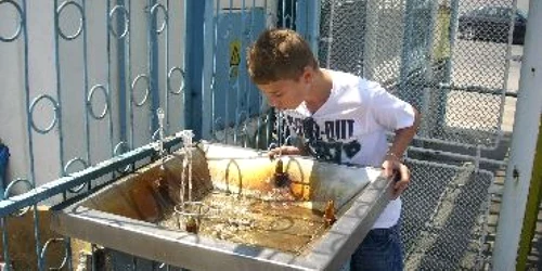 Bacău: Șase puncte de prim ajutor pe timp de caniculă