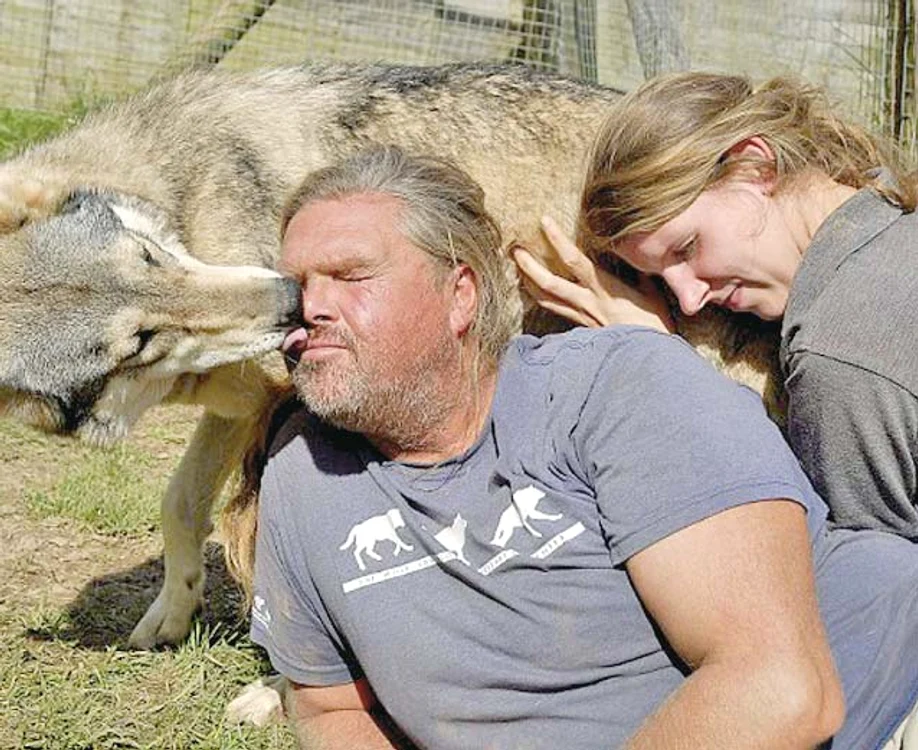 
    Aleasa lui este Isla, în vârstă de 30 de ani, pe care a învăţat-o mai întâi cum să se împrietenească şi ea cu aceste animale  