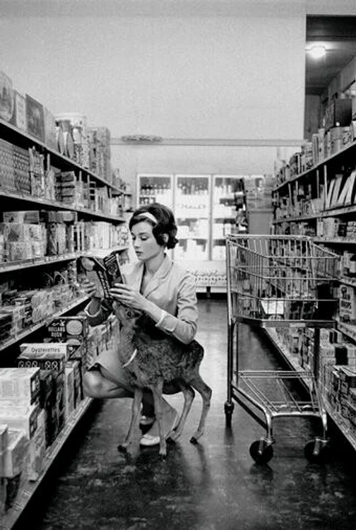 Audrey hepburn împreună cu animalul ei de companie, căprioara Ip, în 1958