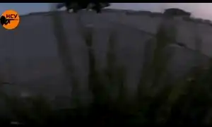sabotaj gif gif