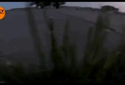 sabotaj gif gif