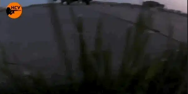 sabotaj gif gif