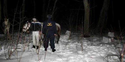 contrabandist botosani