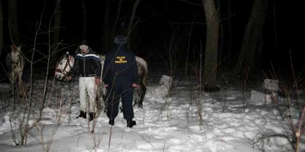 contrabandist botosani