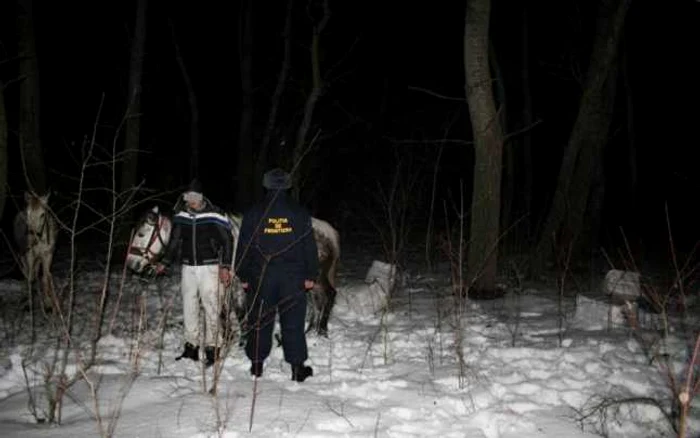 Cei doi carau coletele cu ajutorul a doi cai FOTO STPF Botosani