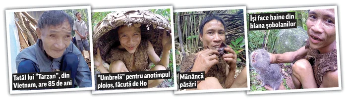 
    Johnny Weissmuller  (2 iunie 1904- 20 ianuarie 1984)  