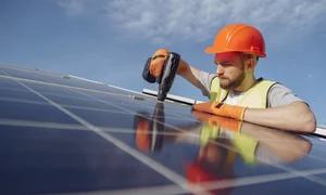 pexels gustavo fring 4254164 jpg