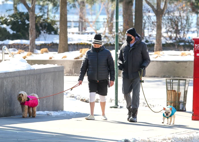 Miley Cyrus îngrijeşte cu atenţie blana câinelui Angel
