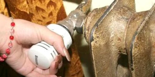 Ajutoarele de încălzire cu lemne au întârziat o lună 
