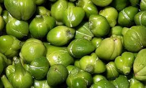2 capere index jpeg