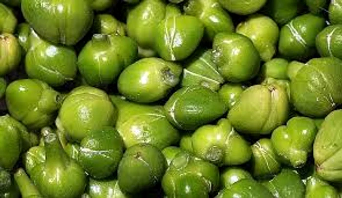 
    Caperele acționează la nivelhepatic,renal, biliar și renal   