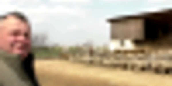 buzau