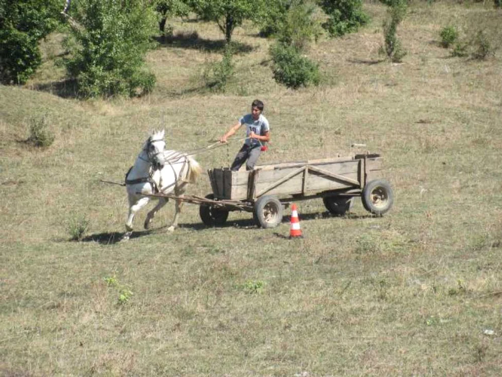Raliul Carutelor la Marpod
