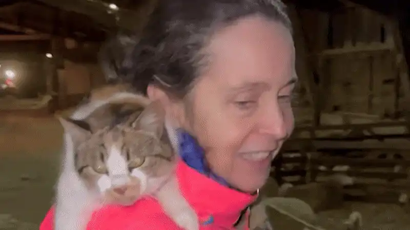 Soția fostului premier Dacian Cioloș, apariție inedită pe Facebook. A cântat printre oi, cu o pisică în brațe