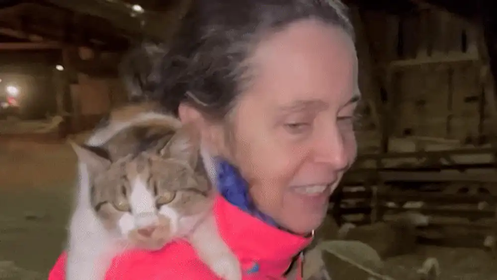 Soția fostului premier Dacian Cioloș, apariție inedită pe Facebook. A cântat printre oi, cu o pisică în brațe