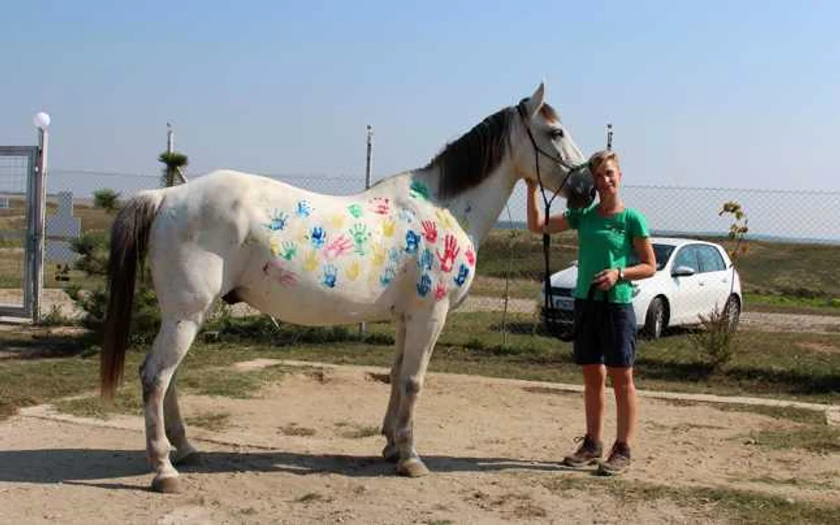 Erika Weisz şi calul Oli FORO Horsemotion