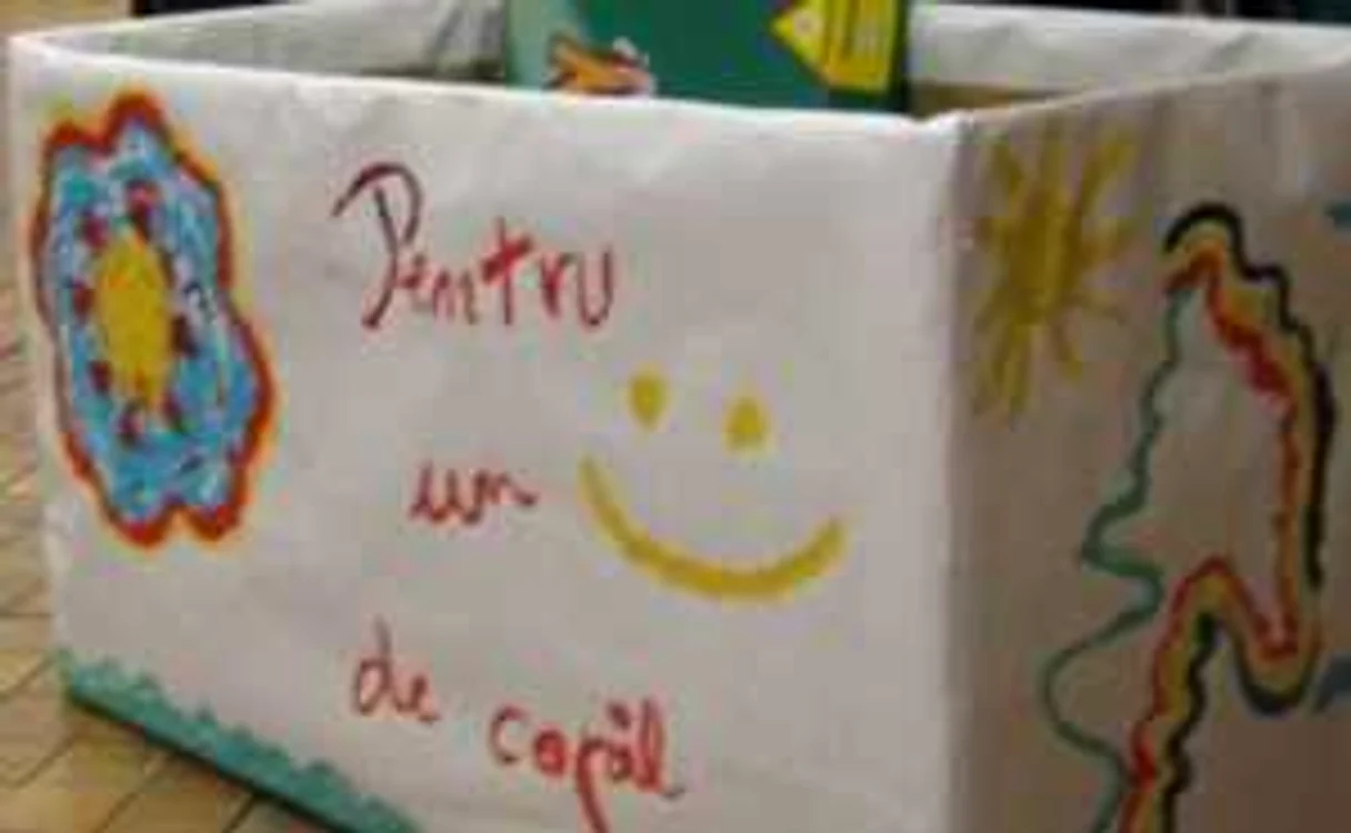 Banii urmau să ajungă la un orfelinat