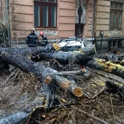Un copac cazut peste o masina este degajat de catre pompieri FOTO Mediafax 