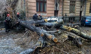 Un copac cazut peste o masina este degajat de catre pompieri FOTO Mediafax 
