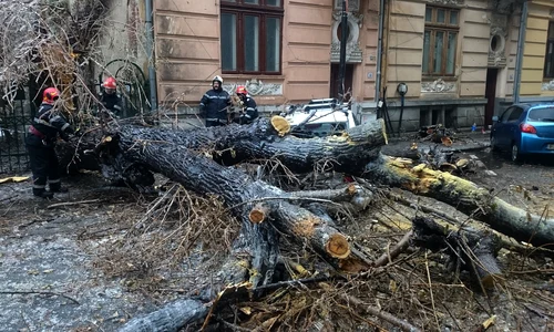 Un copac cazut peste o masina este degajat de catre pompieri FOTO Mediafax 