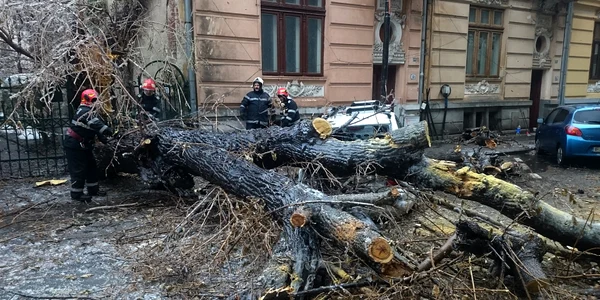 Un copac cazut peste o masina este degajat de catre pompieri FOTO Mediafax 