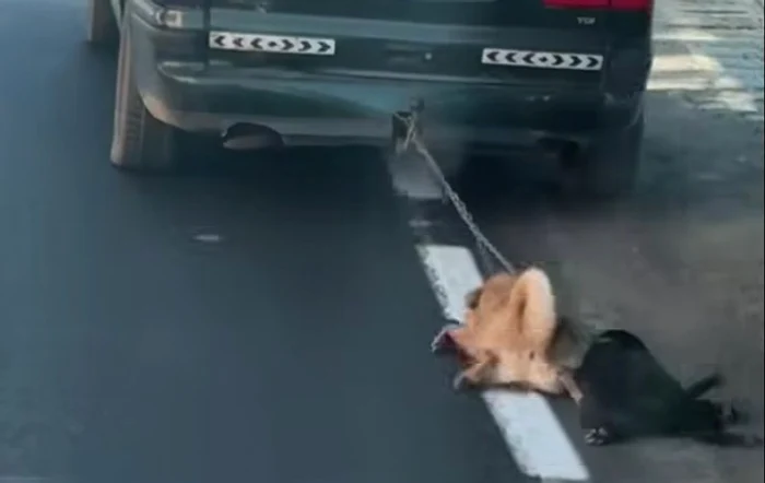 Tânăr din Dolj, surprins în timp ce târa cu mașina doi câini legați cu un lanț FOTO: Captură video