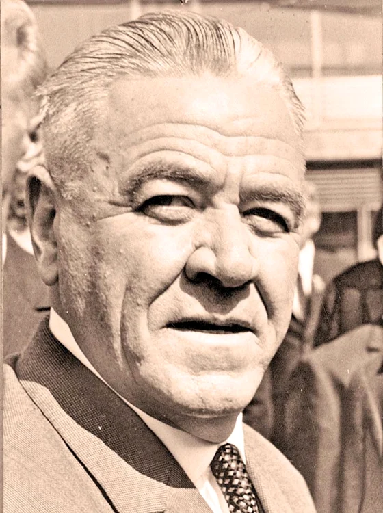 Ioan Gheorghe Maurer
