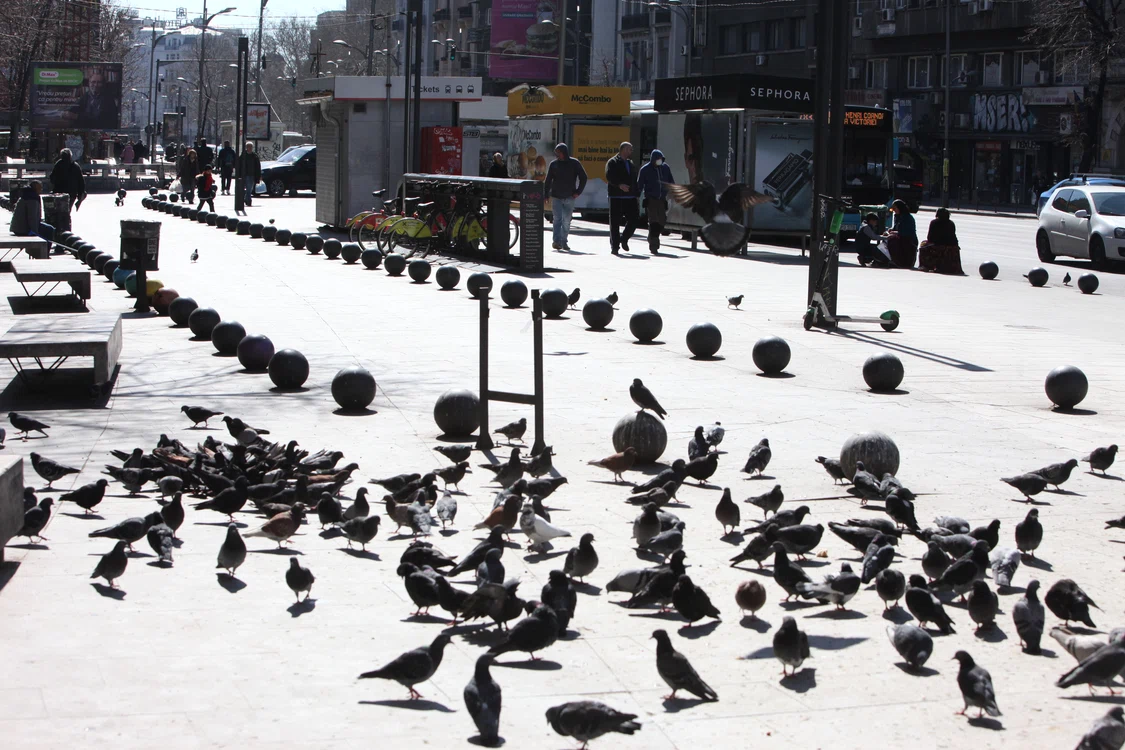 
    foto: Sever Gheorghe  