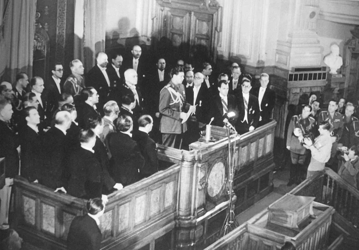 regele mihai parlament
