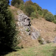 Lunca Cernii Foto Daniel Guță ADEVĂRUL (111) JPG