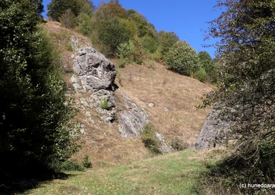 Lunca Cernii Foto Daniel Guță ADEVĂRUL (111) JPG