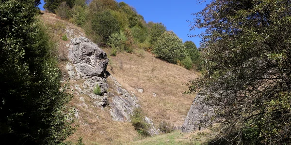 Lunca Cernii Foto Daniel Guță ADEVĂRUL (111) JPG