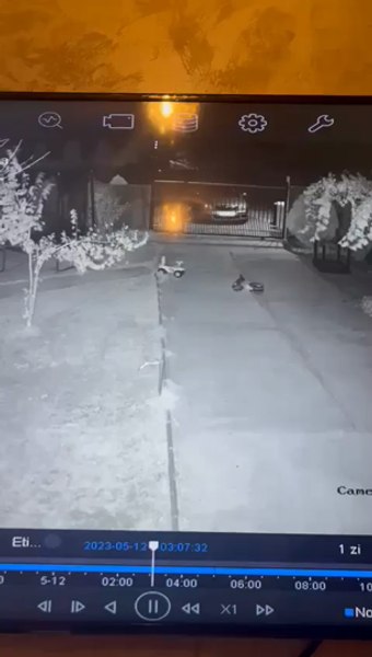 Planul unui tânăr care a vrut să-și răzbune iubita arestată în Elveția. Victimă: „A venit peste noi să ne omoare și este liber“ VIDEO