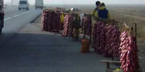Ceapa de Buzău se vinde la marginea drumului European 85