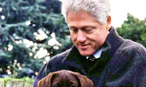 Şi ei au la fel    Şi Bill Clinton  are un Labrador,  pe nume Seamus  jpeg
