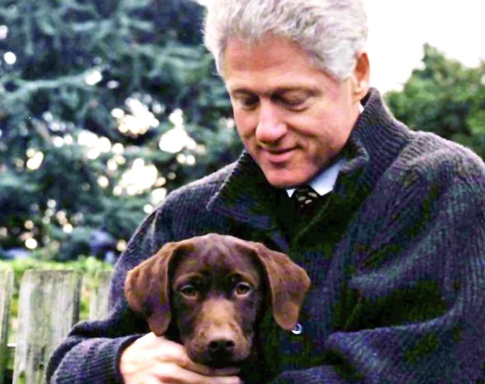 Şi ei au la fel... Şi Bill Clinton  are un Labrador,  pe nume Seamus.